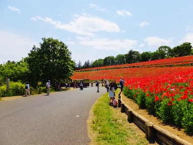 �����֤ʲ֤ε�