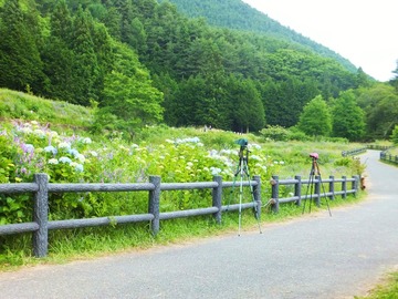 ����������ü