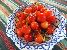 2012ǯ�κ�ƣ��