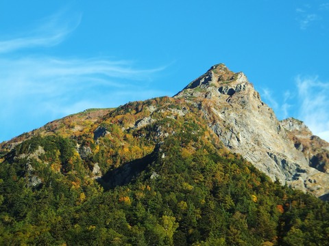 ÎîÊö¡¦ÌÀ¿À³Ù