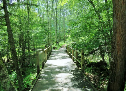 6・八千穂高原自然園園内