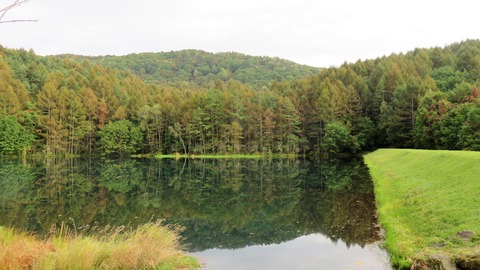 4¡¦¤¤ì¤¤¤Ç¤¹