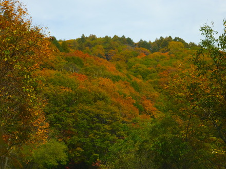 2����®�˿��Ť���