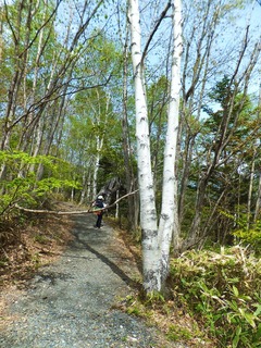 ���˰Ϥޤ줿��ϩ�Ǥ�