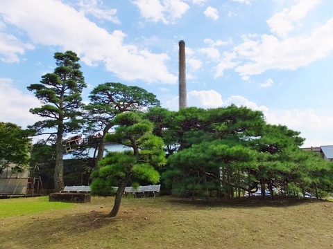 8���㳲���������������ȱ���