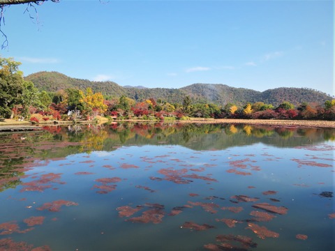 �������ӡ����ʿ�