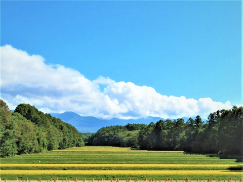 �������饤�󤫤�Ȭ���٤�ê��