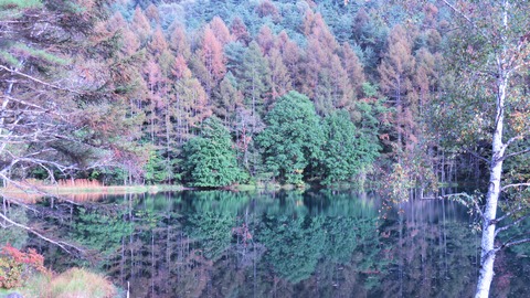 7¡¦¤Þ¤µ¤Ë¶À¤Ç¤¹¡¡¸æ¼Í¼¯ÃÓ