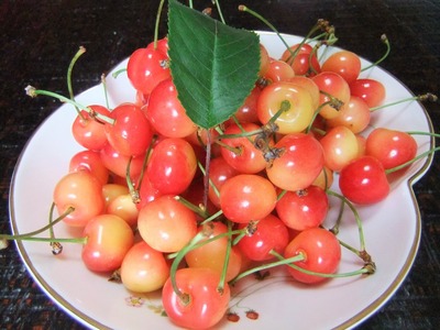 2011ǯ�Τ�������