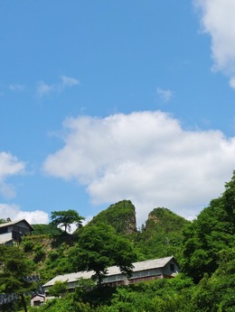 ����ƻͷ���