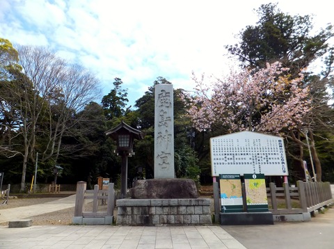 ���������ɸ