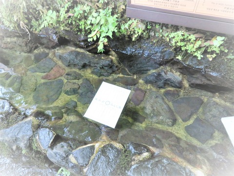 ¡¿åÀꤤ¡¦¤ß¤¯¤¸