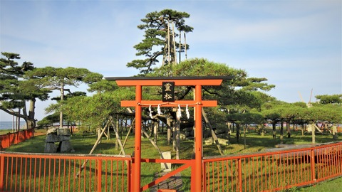 �����ξ�(2016.5.17)