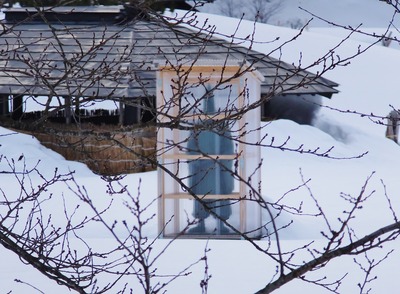 11����Ϥ����줿��������