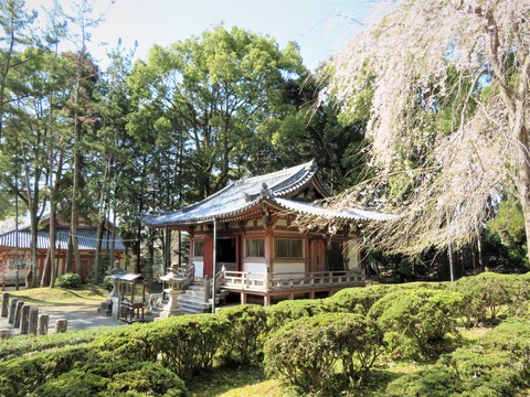 ©Âé¸ï»ûÉÔÆ°Æ²¤Èºù