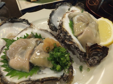 ¤ê¤Ã¤Ñ¤Ê´ä¥¬¥¤Ç¤·¤¿