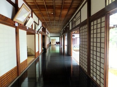 ��Ʋ����ϭ��