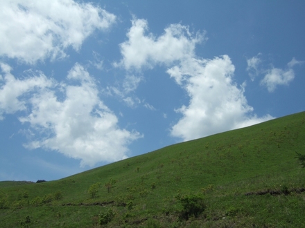 �����ܤä�����������