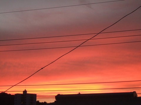 �̤ζ����֤�