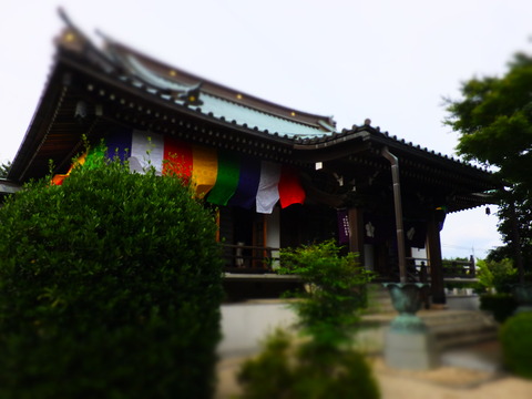 �ܲ��򽪤�����Ʋ