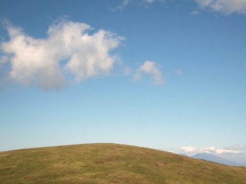 ���μֻ�������