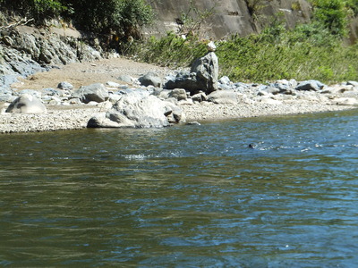 12��15�����åȥ�����