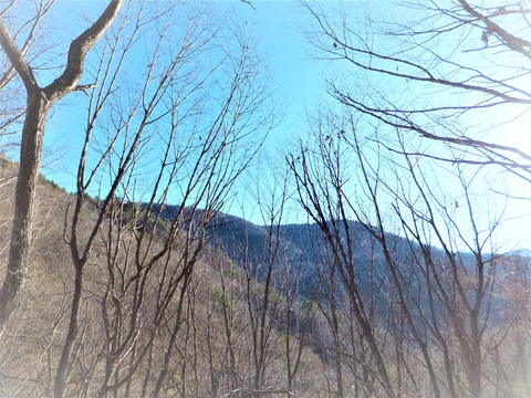 2011.11.16 11��ˤϲƤˤϸ����̻��¤ߤ��ƥ饹���鸫����