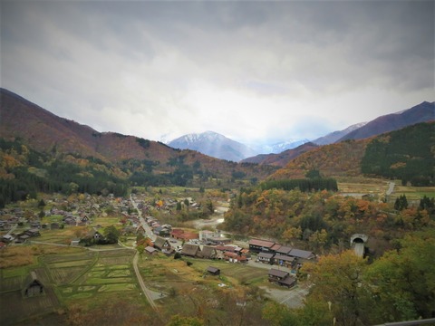 �������˾