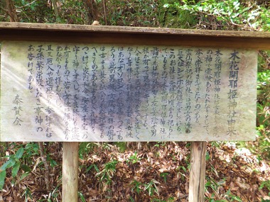 ÌÚ²Ö³«Ìíɱ¿À¼ÒͳÍè