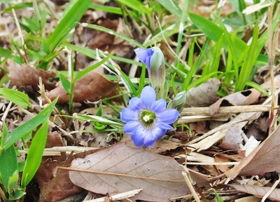 6���եǥ��ɥ����