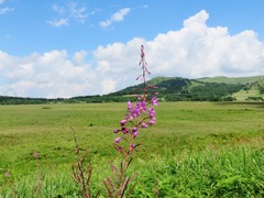 1����ʥ�����Ȭ�礬������