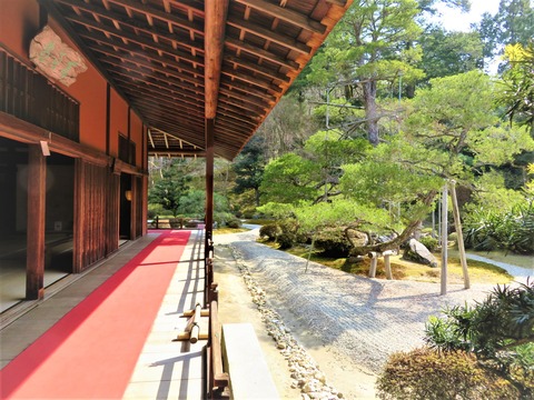 ÒØ¼ì±¡¡¦Âç½ñ±¡¤ÈÄáÅç