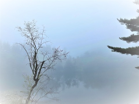 ������ޥۥƥ�ī�ˤΤʤ�����ޥĤ���