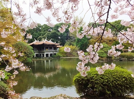 2�����ȵ������