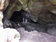 �麸����¤���ŷ��