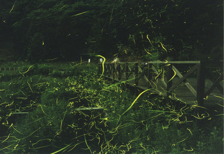 ä��ĮHP�Ѹ������Ȥ��