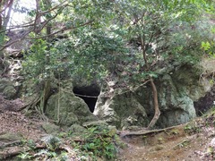 ����ŷƶ��