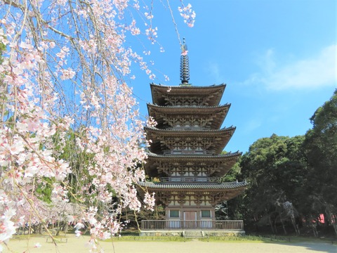 ���޿����˸޽���