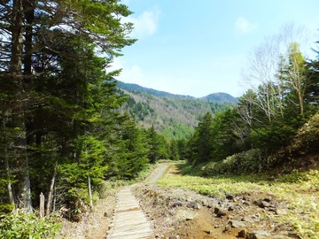 ������ؤΥ롼������