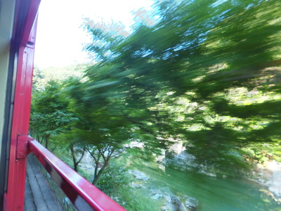 �����ڡ�����⤢�äȤ����֤�ή��Ƥ椭�ޤ�