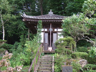 ������Ʋ