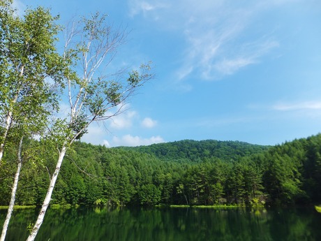 �����Ĥʶ�