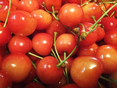 ˭��κ�ƣ�ӡ��Ĥ�䤫�ʹȤ���������