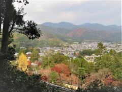 ��º�����������פ��麷����ι��դ�����