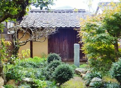 ¹âÌîĹ±Ñ¤Î±£¤ì²È