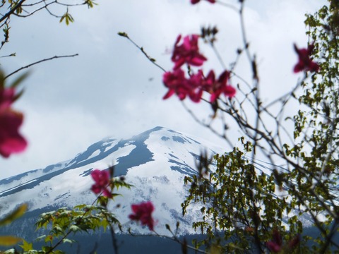 ��饵���䥷���Ⱦ�ȳ�