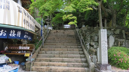 £¸£¸ÈÖ·ë´ê½ê¤ò¹ï¤àÀÐɸ