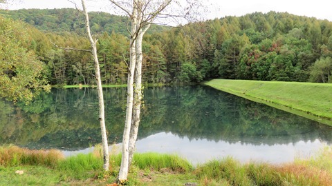 9¡¦¸æ¼Í¼¯ÃÓ