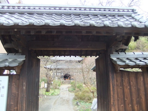 �����������礫����Ʋ��