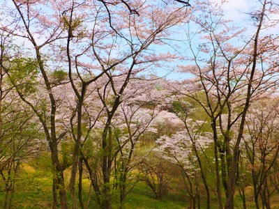 �컳���׺��α�